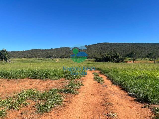 #568 - Fazenda para Venda em Jaraguá - GO - 3