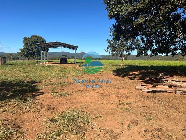Fazenda para Venda em Jaraguá - 4