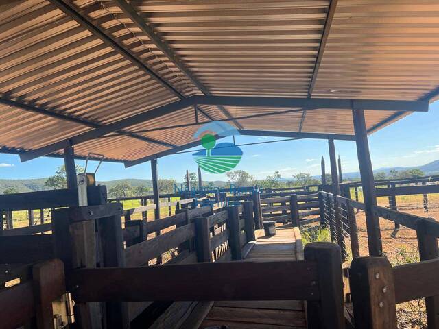 Fazenda para Venda em Jaraguá - 5