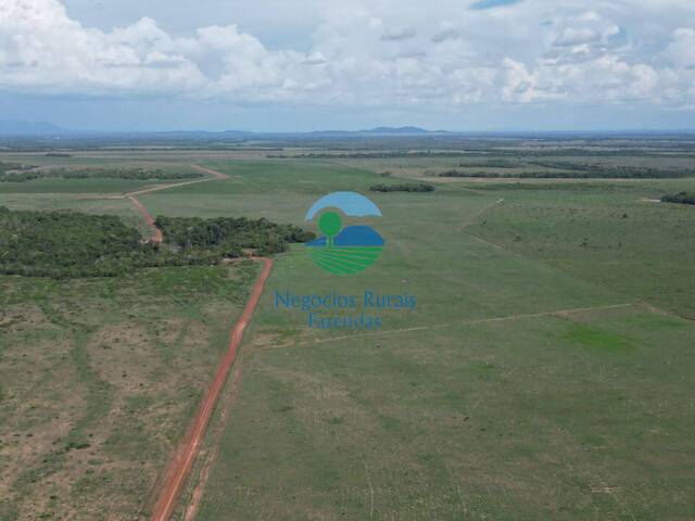 #569 - Fazenda para Venda em Crixás do Tocantins - TO - 3