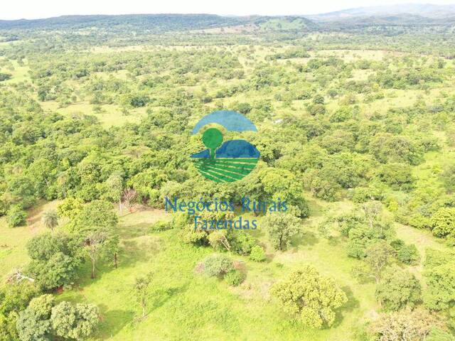 #572 - Fazenda para Venda em Formoso - GO - 3