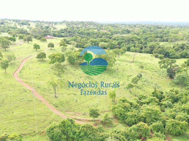 Fazenda para Venda em Formoso - 4