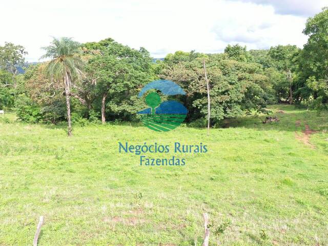 Fazenda para Venda em Formoso - 5