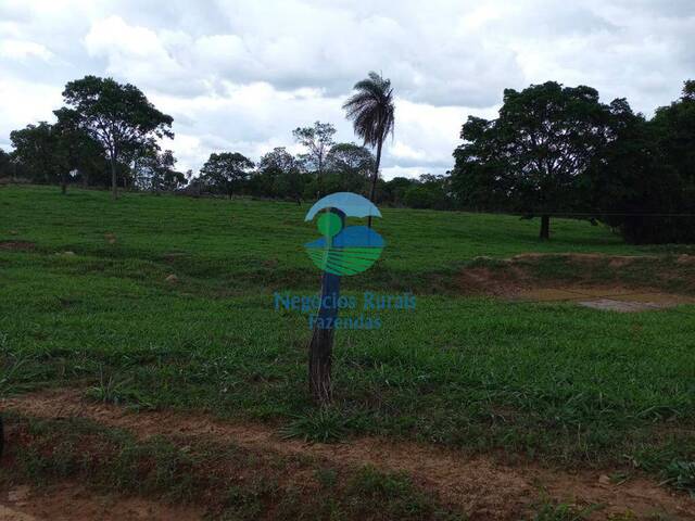 #572 - Fazenda para Venda em Formoso - GO - 1