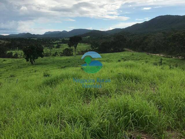 #573 - Fazenda para Venda em São Salvador do Tocantins - TO - 3