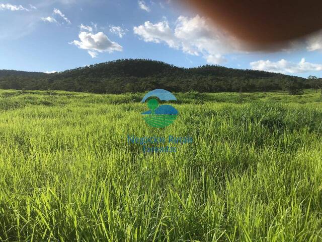 Fazenda para Venda em São Salvador do Tocantins - 4