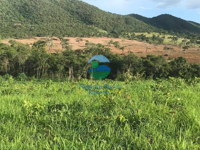 Fazenda para Venda em São Salvador do Tocantins - 5