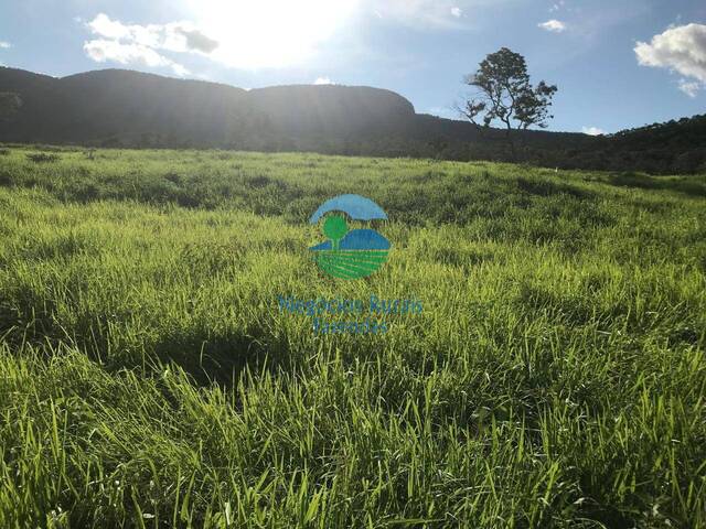 #573 - Fazenda para Venda em São Salvador do Tocantins - TO - 2