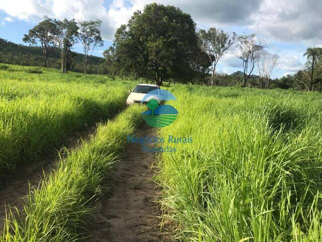#573 - Fazenda para Venda em São Salvador do Tocantins - TO - 1