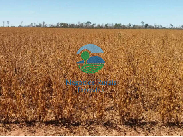 Fazenda para Venda em Paranatinga - 5