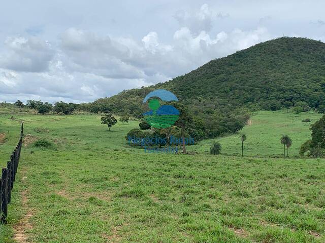 Chácara para Venda em Uruaçu - 4