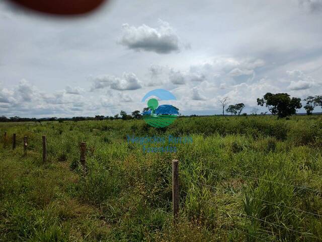 #576 - Fazenda para Venda em Paranã - TO - 3