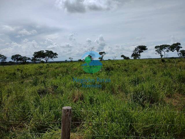 Fazenda para Venda em Paranã - 5