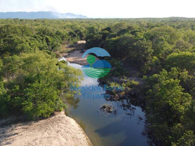 #577 - Fazenda para Venda em Arraias - TO - 2