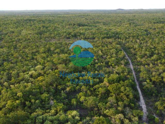 #577 - Fazenda para Venda em Arraias - TO - 1