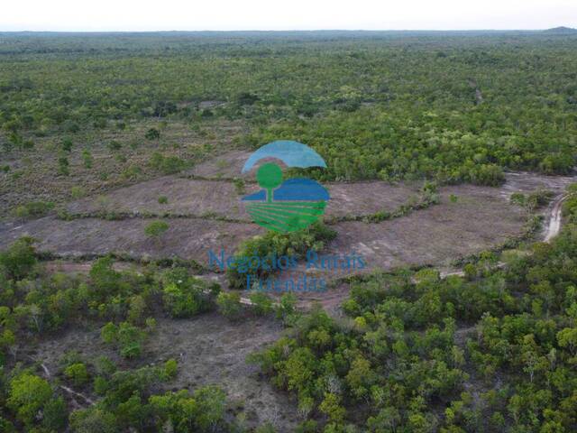 #577 - Fazenda para Venda em Arraias - TO - 1