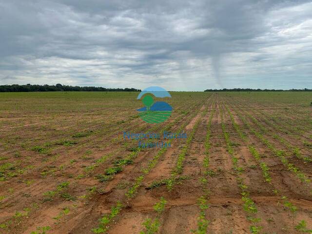 Fazenda para Venda em Porto Nacional - 2