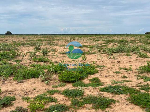 Fazenda para Venda em Porto Nacional - 4