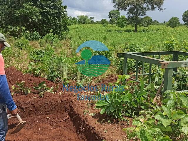 #579 - Fazenda para Venda em São João d`Aliança - GO - 2