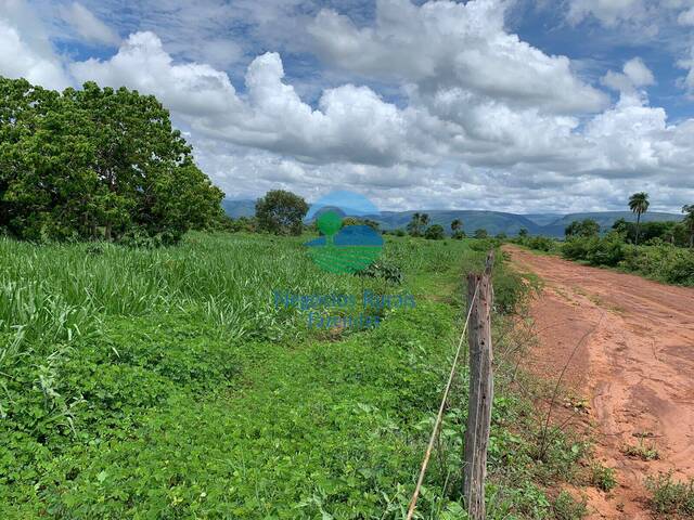 Fazenda para Venda em São João d`Aliança - 4