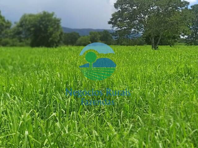 Fazenda para Venda em São João d`Aliança - 5