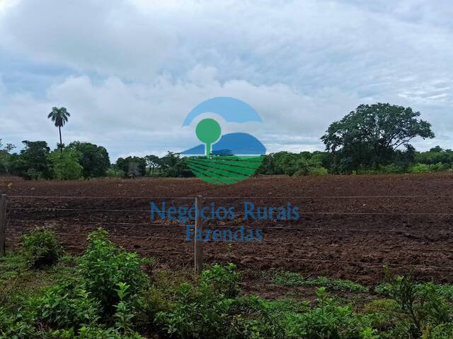 #579 - Fazenda para Venda em São João d`Aliança - GO - 1