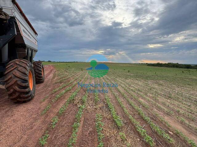 #581 - Fazenda para Venda em Palmas - TO - 1