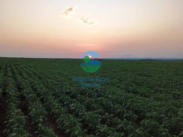 #581 - Fazenda para Venda em Palmas - TO - 2