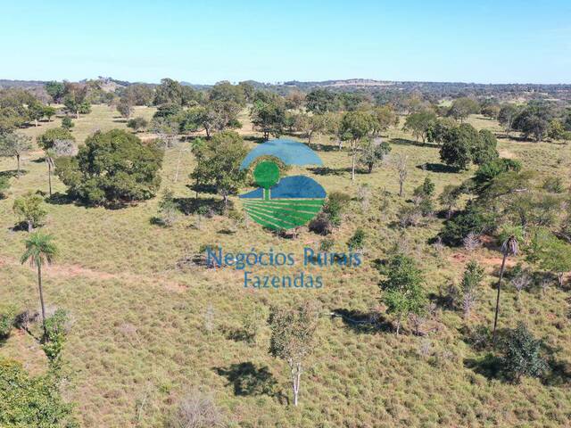 Fazenda para Venda em Formoso - 5