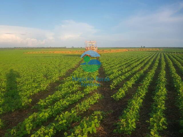 #583 - Fazenda para Venda em Dueré - TO - 3
