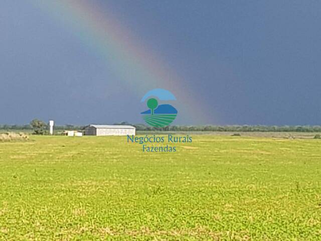 #583 - Fazenda para Venda em Dueré - TO - 2