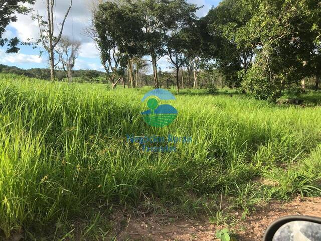 #584 - Chácara para Venda em São Salvador do Tocantins - TO - 1