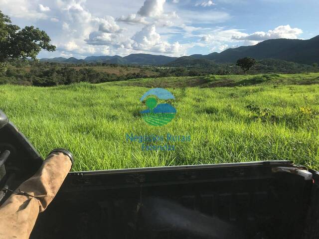 #584 - Chácara para Venda em São Salvador do Tocantins - TO - 2