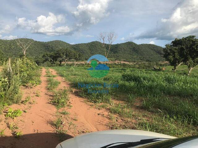 #584 - Chácara para Venda em São Salvador do Tocantins - TO - 3
