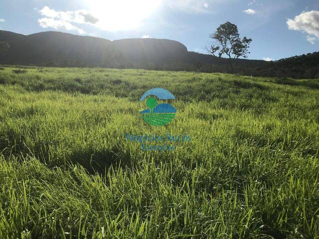 Venda em Zona rural - São Salvador do Tocantins