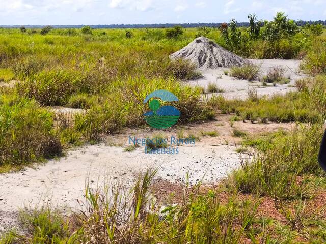 #587 - Fazenda para Venda em Santana do Araguaia - PA - 3