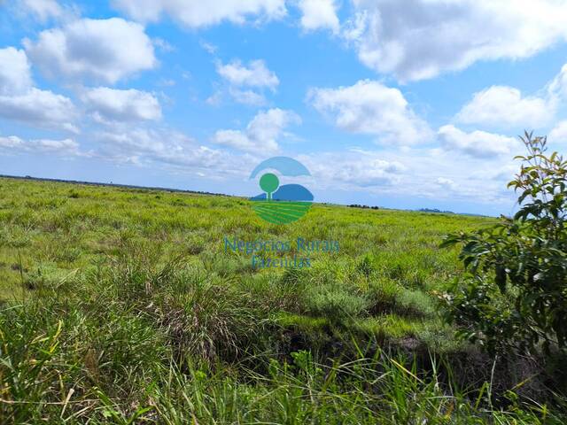 #587 - Fazenda para Venda em Santana do Araguaia - PA - 1