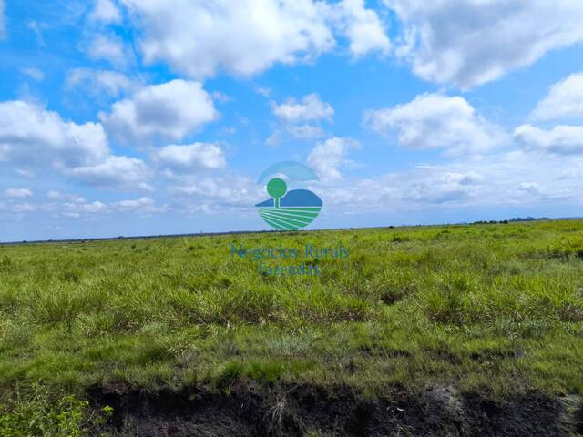#587 - Fazenda para Venda em Santana do Araguaia - PA - 1