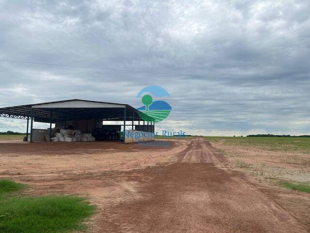 Fazenda para Venda em Figueirópolis - 5