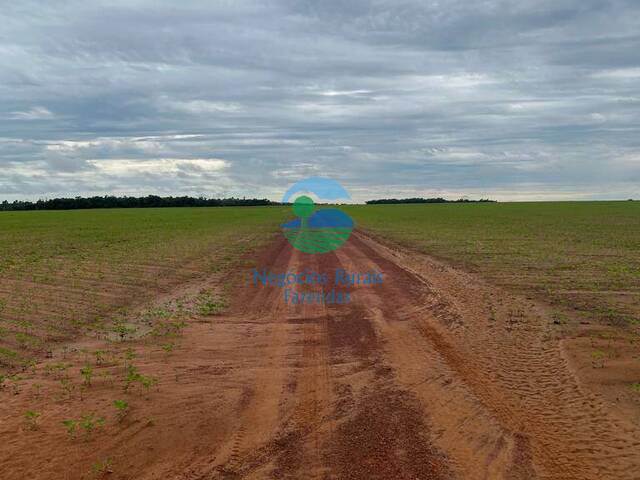 #588 - Fazenda para Venda em Figueirópolis d`Oeste - MT - 3