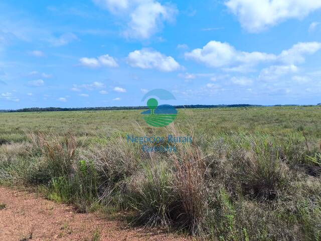 #590 - Fazenda para Venda em Santana do Araguaia - PA - 1