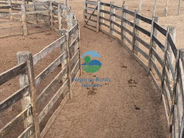 Fazenda para Venda em São Valério da Natividade - 4