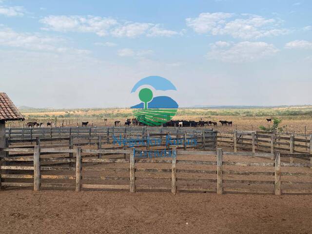 Fazenda para Venda em São Valério da Natividade - 5