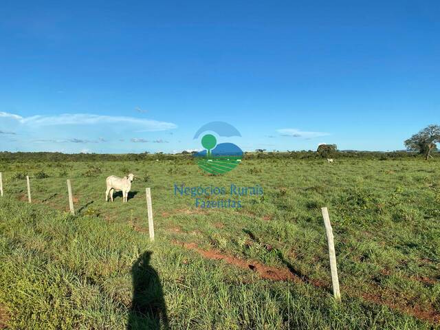 #591 - Fazenda para Venda em São Valério da Natividade - TO - 3