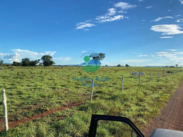 #591 - Fazenda para Venda em São Valério da Natividade - TO - 1