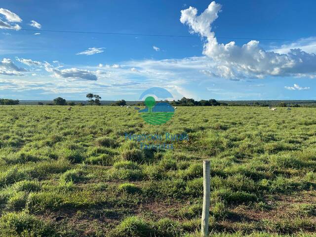 #591 - Fazenda para Venda em São Valério da Natividade - TO - 2