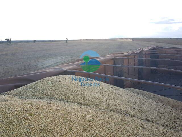 #592 - Fazenda para Venda em Dueré - TO - 3