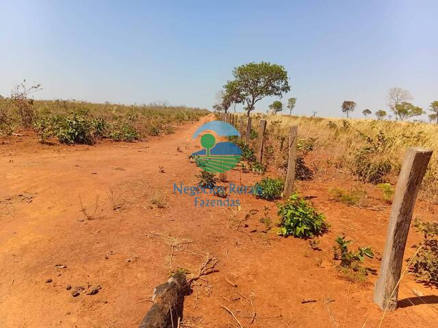 #593 - Fazenda para Venda em Talismã - TO - 2