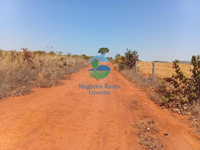Fazenda para Venda em Talismã - 4