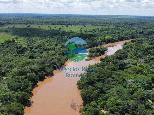 #593 - Fazenda para Venda em Talismã - TO - 3